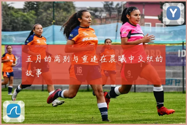 五月的离别与重逢在晨曦中交织的故事